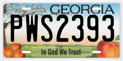 GA license plate PWS2393