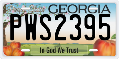 GA license plate PWS2395