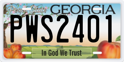 GA license plate PWS2401
