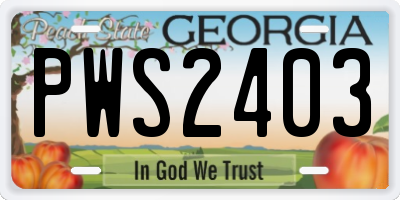 GA license plate PWS2403