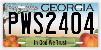 GA license plate PWS2404