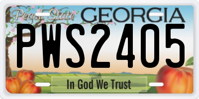 GA license plate PWS2405