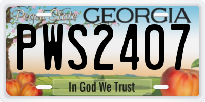 GA license plate PWS2407