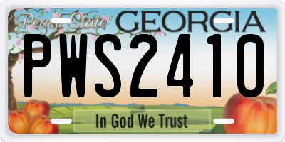 GA license plate PWS2410