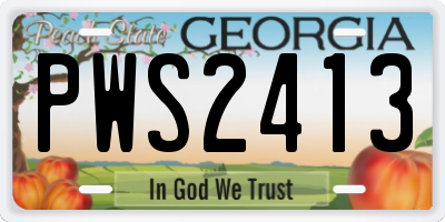 GA license plate PWS2413