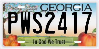 GA license plate PWS2417