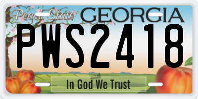 GA license plate PWS2418