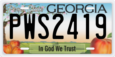 GA license plate PWS2419