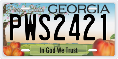 GA license plate PWS2421