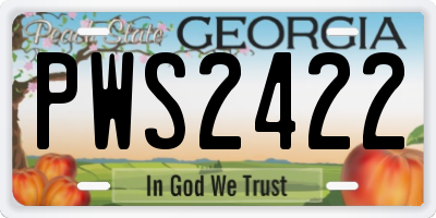 GA license plate PWS2422