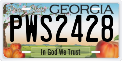 GA license plate PWS2428