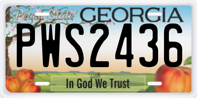 GA license plate PWS2436