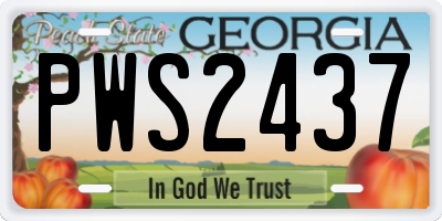 GA license plate PWS2437