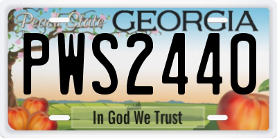 GA license plate PWS2440