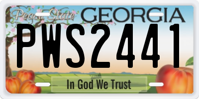 GA license plate PWS2441