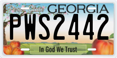 GA license plate PWS2442