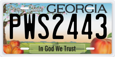 GA license plate PWS2443