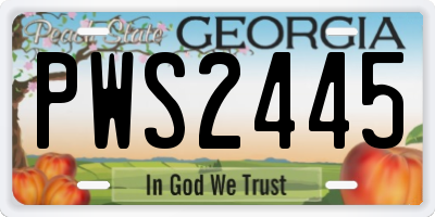 GA license plate PWS2445