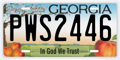 GA license plate PWS2446