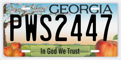 GA license plate PWS2447