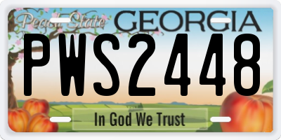 GA license plate PWS2448