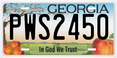 GA license plate PWS2450
