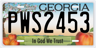 GA license plate PWS2453
