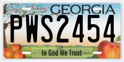 GA license plate PWS2454