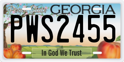 GA license plate PWS2455