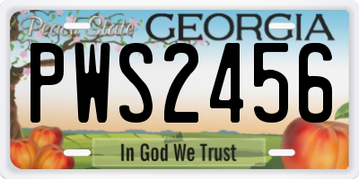 GA license plate PWS2456