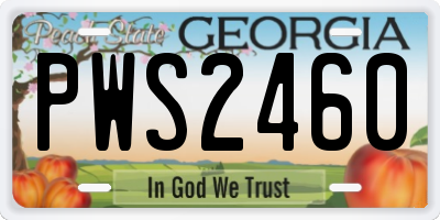 GA license plate PWS2460