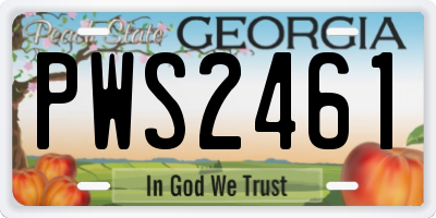 GA license plate PWS2461