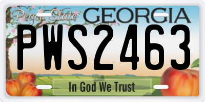 GA license plate PWS2463