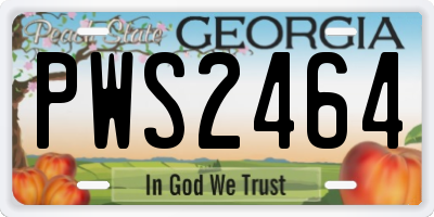 GA license plate PWS2464