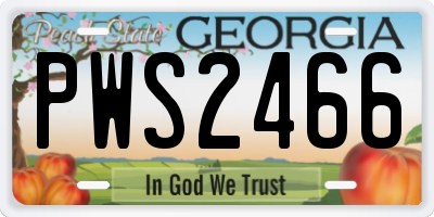 GA license plate PWS2466