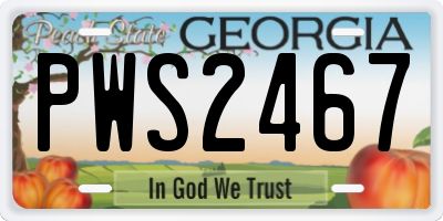 GA license plate PWS2467