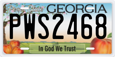 GA license plate PWS2468