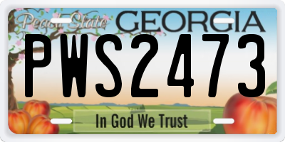 GA license plate PWS2473