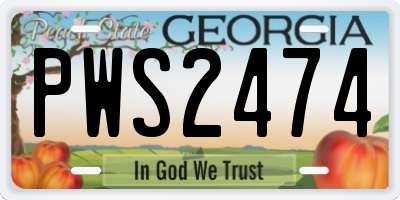 GA license plate PWS2474