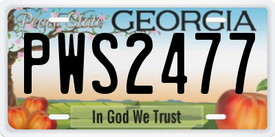 GA license plate PWS2477