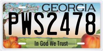GA license plate PWS2478