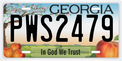GA license plate PWS2479