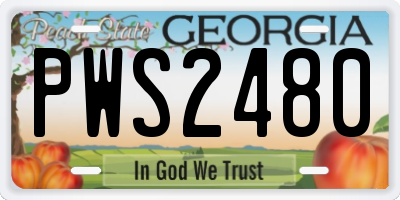 GA license plate PWS2480