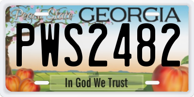 GA license plate PWS2482