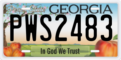 GA license plate PWS2483