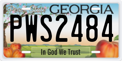 GA license plate PWS2484