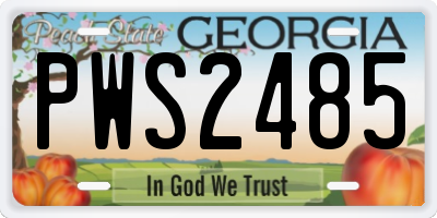 GA license plate PWS2485