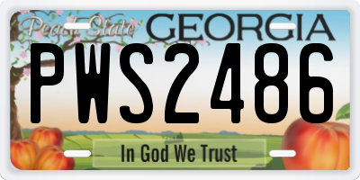 GA license plate PWS2486