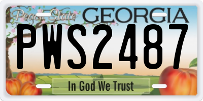 GA license plate PWS2487