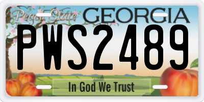 GA license plate PWS2489